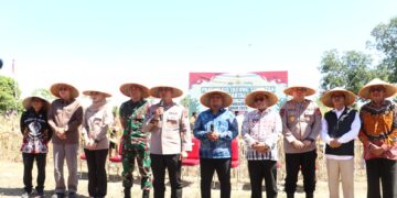 Sukses Dongkrak Produksi Jagung Hingga 33 Persen, Kapolda Sulsel Lapor ke Presiden