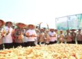 Karo SDM Polda Sulsel Dampingi Tim Itwasum Polri Uji Petik Jagung di Tanralili, Maros