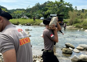 Personel Batalyon D Pelopor Laksanakan Pengangkatan Material Bebatuan untuk Perbaikan Jembatan Gantung di Dusun Salusule Hari Ke 4