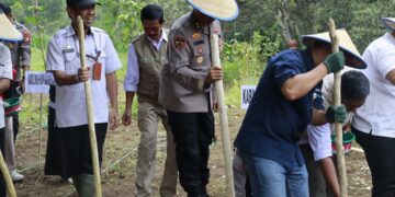 Target Produksi jagung di 2026, Saat ini Polda Sulsel Sudah Menanam Jagung di Lahan 812 Hektar