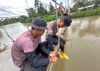 Perbaikan jembatan gantung Salusule terus berlanjut, Brimob fokuskan penguatan konstruksi