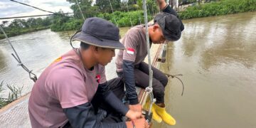 Perbaikan jembatan gantung Salusule terus berlanjut, Brimob fokuskan penguatan konstruksi