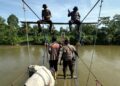 BRIMOB POLDA SULSEL PERKUAT JEMBATAN GANTUNG SALUSULE, PERSONEL BATALYON D PELOPOR LANJUTKAN PEKERJAAN HARI KE-33