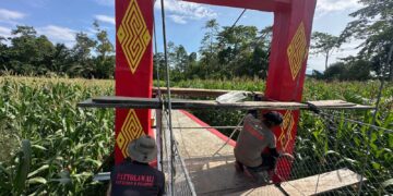 Brimob Polda Sulsel Terus Berbenah, Personel Batalyon D Pelopor Lanjutkan Pengecatan Jembatan Gantung di Salusule