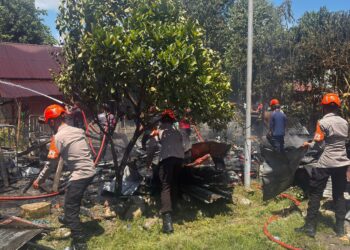 BRIMOB SIGAP! TIM SAR BATALYON D PELOPOR BANTU PEMBERSIHAN PASCA KEBAKARAN DI MASAMBA