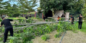 Personel Batalyon D Pelopor Gelar Kuryei Pembersihan Area Sekitar Mako