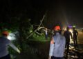 Tim SAR Personel Batalyon D Pelopor Sigap Evakuasi Pohon Tumbang di Jalur Poros Palopo–Masamba