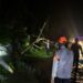 Tim SAR Personel Batalyon D Pelopor Sigap Evakuasi Pohon Tumbang di Jalur Poros Palopo–Masamba