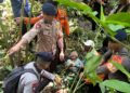 Tim SAR Batalyon D Pelopor Temukan Warga Hilang di Sabbang Selatan dalam Keadaan Selamat