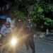 Brimob Sapa Warga Lewat Patroli Malam, Ciptakan Rasa Aman dan Nyaman