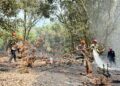 Quick Response Tim SAR Batalyon D Pelopor Tangani Kebakaran Lahan di Marobo