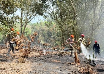 Quick Response Tim SAR Batalyon D Pelopor Tangani Kebakaran Lahan di Marobo
