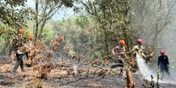 Quick Response Tim SAR Batalyon D Pelopor Tangani Kebakaran Lahan di Marobo