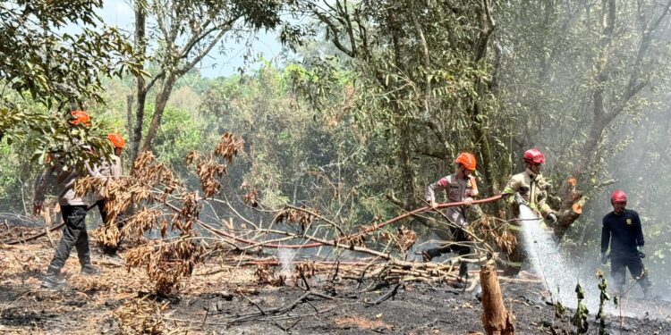 Quick Response Tim SAR Batalyon D Pelopor Tangani Kebakaran Lahan di Marobo