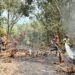 Quick Response Tim SAR Batalyon D Pelopor Tangani Kebakaran Lahan di Marobo