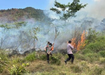 SIGAP TANGANI KARHUTLA, BRIMOB BUA BERGERAK CEPAT PADAMKAN API