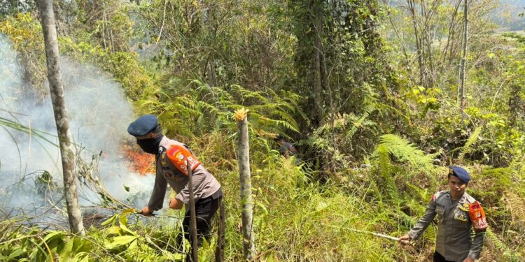 Personel Kompi 3 Batalyon D Pelopor Tangani Karhutla di Dusun Kombong