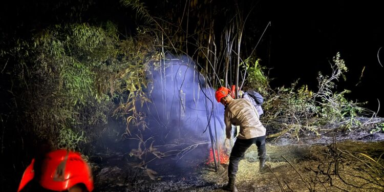 QUICK RESPON TIM SAR BATALYON D PELOPOR LAKSANAKAN PENYISIRAN PASCA KEBAKARAN LAHAN