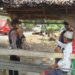 Brimob hadir menyapa warga, patroli Kamtibmas di Mancani